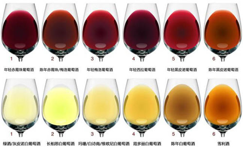 葡萄酒年龄的颜色变化