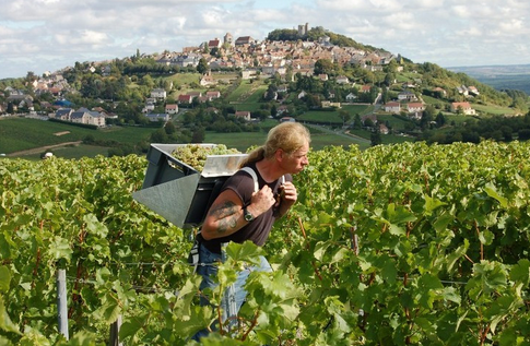 桑塞尔产区（Sancerre）