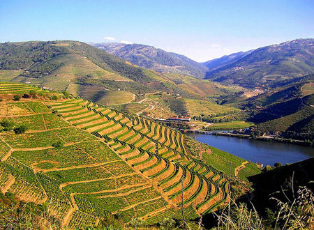 葡萄牙杜罗河（Douro，Portugal）