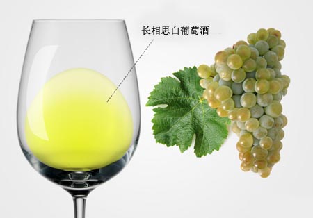 长相思葡萄酒：与众不同的白葡萄酒