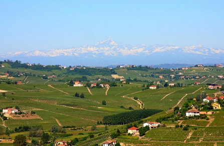 皮埃蒙特产区（Piedmont）