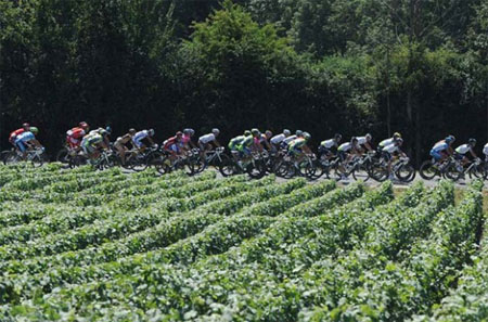 法国酿酒师与环法自行车赛产生冲突