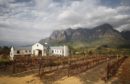 南非长相思葡萄酒产区