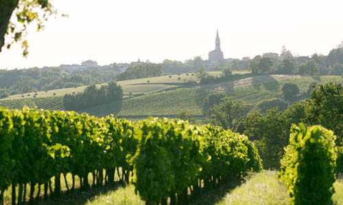 中国成法国波尔多葡萄酒最大出口国