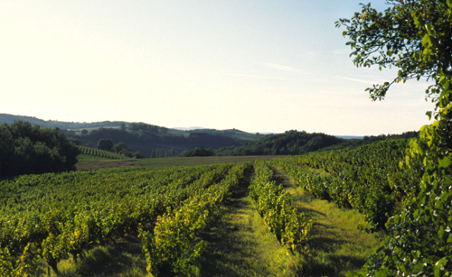 加亚克产区（Gaillac）