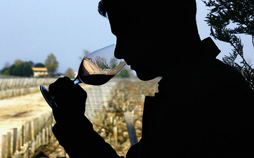意大利与法国争夺葡萄酒霸主地位