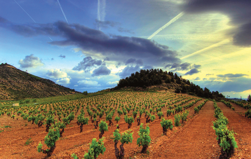 里奥哈产区（Rioja）