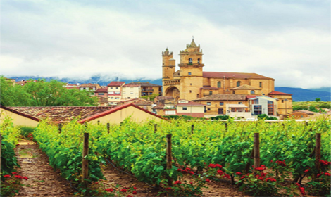 西班牙2015年份葡萄酒收成创纪录