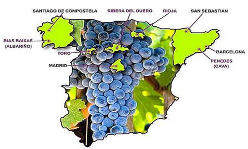 西班牙三大经典葡萄酒产区