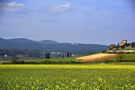 托斯卡纳Tuscany