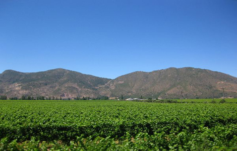 空加瓜谷Colchagua Valley