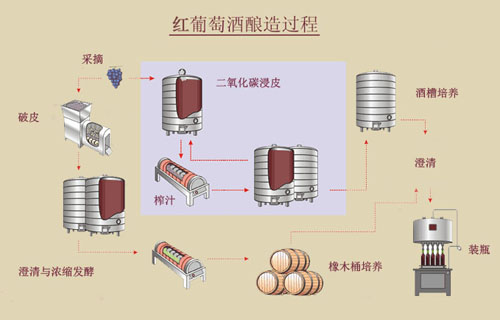 红葡萄酒的酿造过程