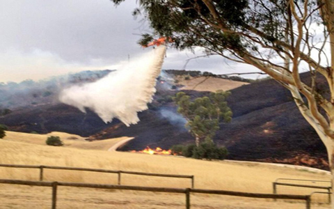 澳大利亚巴罗萨谷发生森林火灾