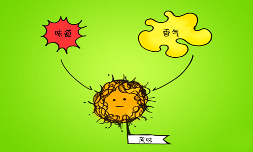 品酒词汇解读：味道、香气和风味