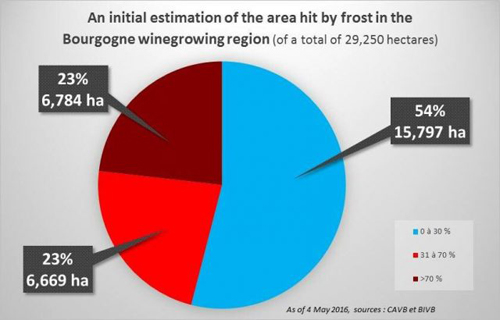 勃艮第葡萄园受霜冻影响面积超过40%