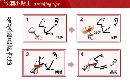 葡萄酒品酒方法