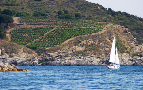 撒丁岛（Sardinia）