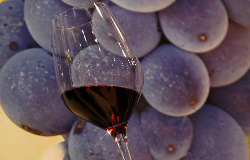 葡萄酒中抗氧化的物质