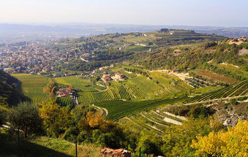 瓦坡里切拉产区（Valpolicella）