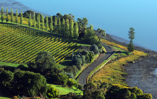 塔斯马尼亚（Tasmania）