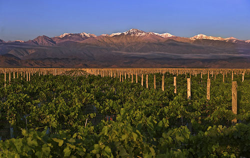 阿根廷葡萄酒产区