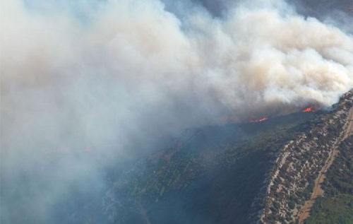 法国南部朗格多克产区突发森林火灾