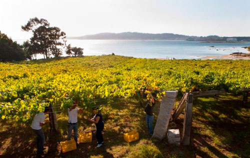 下海湾产区（Rías Baixas）