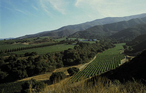 蒙特利县（Monterey County）