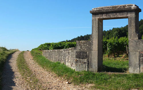 勒桦酒庄（Domaine Leroy）葡萄园