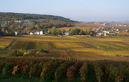 香波-慕西尼（Chambolle-Musigny）葡萄酒产区
