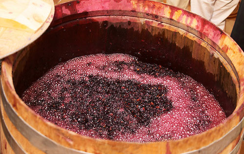 酵母菌对葡萄酒的风味影响