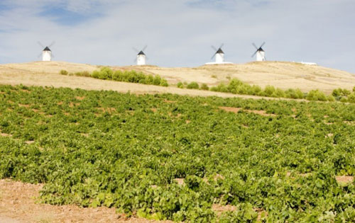 拉曼恰产区（La Mancha）