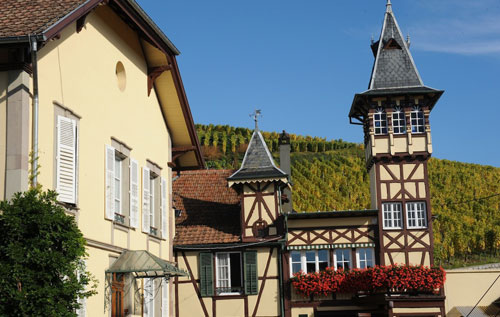 婷芭克世家酒庄（Maison Trimbach）