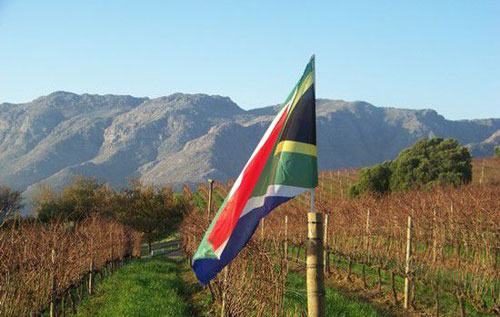 南非葡萄酒历史与概况