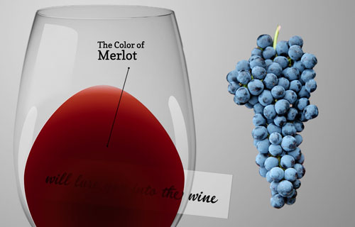 梅洛（Merlot）葡萄酒