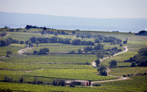 罗纳河谷（Rhone Valley）葡萄酒产区