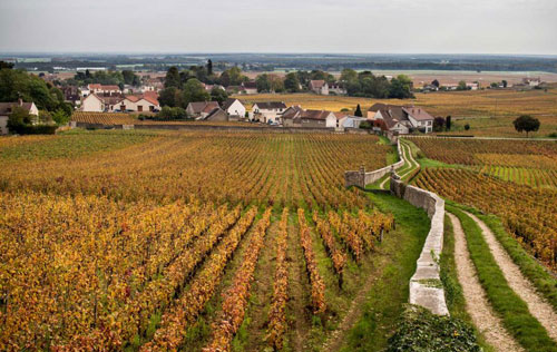 阿曼•卢梭酒庄（Domaine Armand Rousseau）