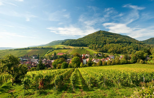 法尔兹（Pfalz）葡萄酒产区