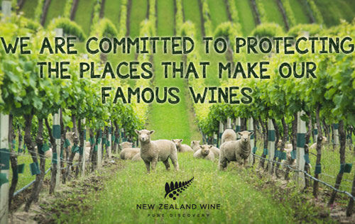 新西兰首发葡萄酒行业可持续发展状况报告