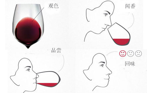 葡萄酒品酒方法