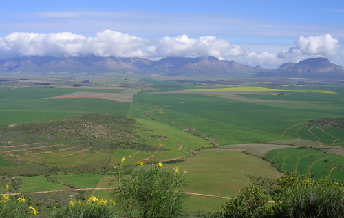 北开普省产区（Northern Cape）