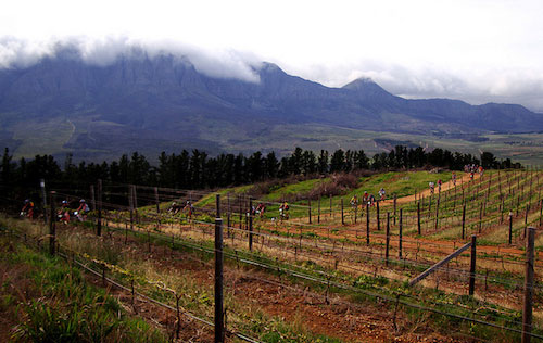 开普敦成为南非原产地葡萄酒次产区