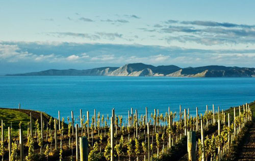 新西兰18个葡萄酒产区申请地理标志标签认证