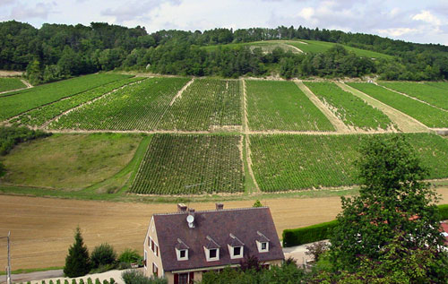 夏布利产区（Chablis）