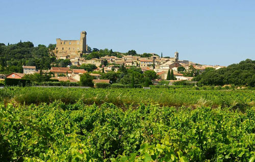 教皇新堡产区（Chateauneuf du Pape）