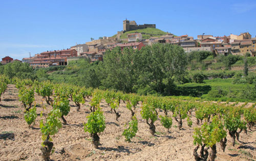  西金酒庄（Sierra Cantabria）