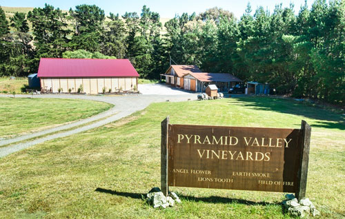 金字塔谷酒庄（Pyramid Valley Vineyards）