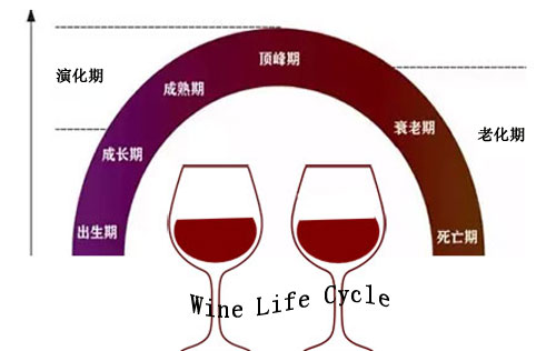 葡萄酒的演化、氧化与老化