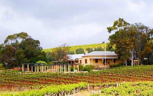 格林诺克酒庄（Greenock Creek Vineyard）