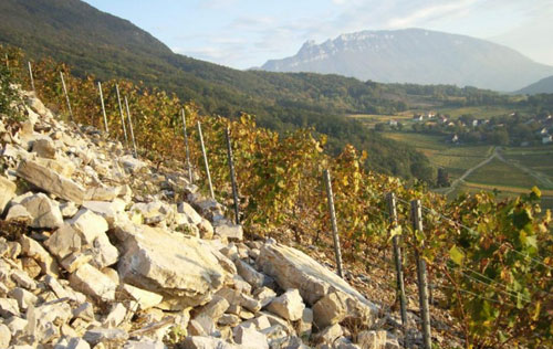 葡萄酒产区土壤